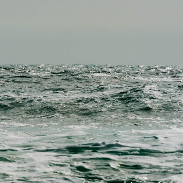 Foto Workshop auf Norderney