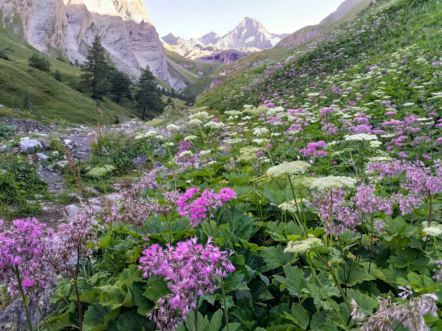 Fotoworkshop OSTTIROL Begleitung